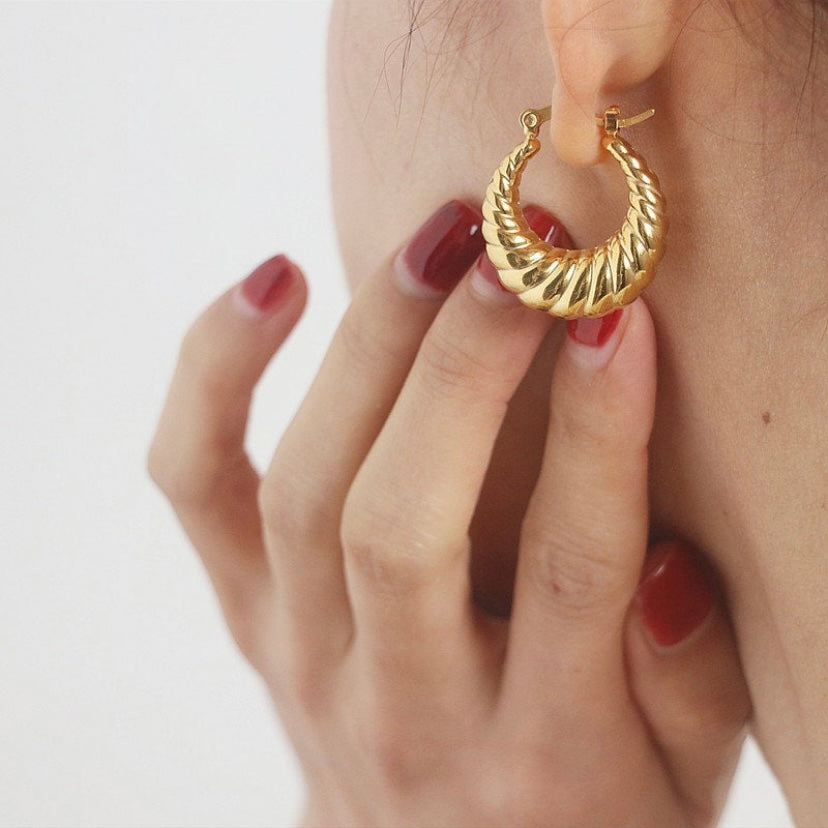 Twisted Hoops Earrings
