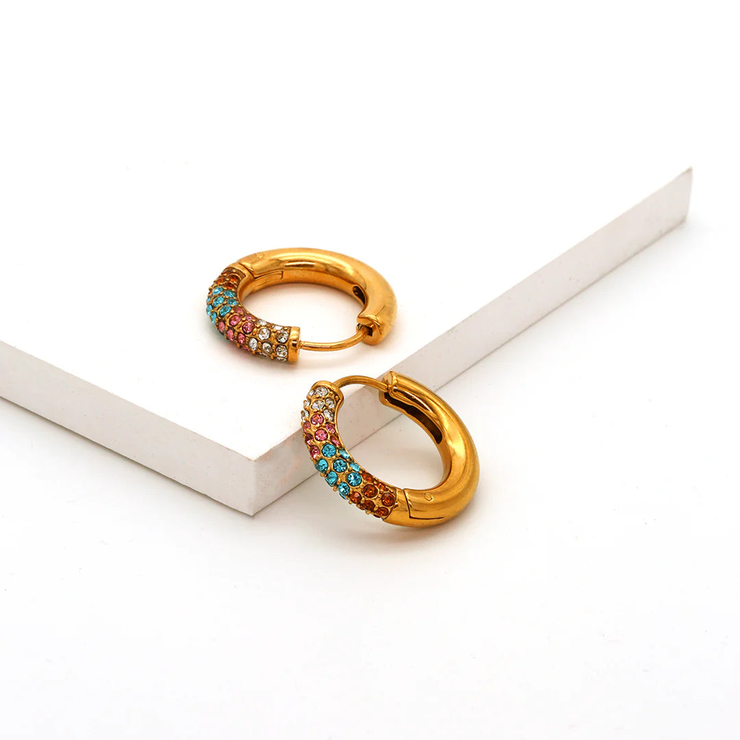 Sparkling Earrings