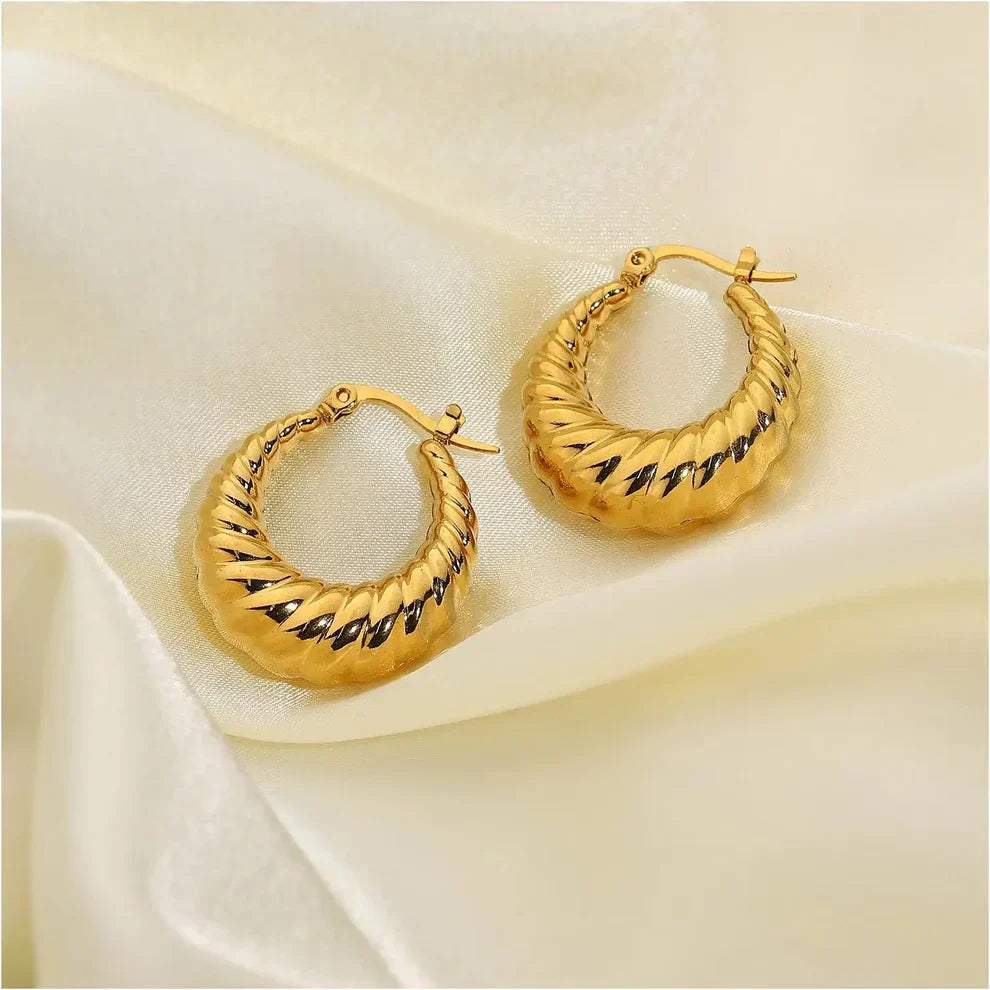 Twisted Hoops Earrings