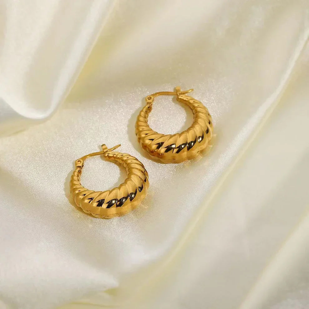 Twisted Hoops Earrings