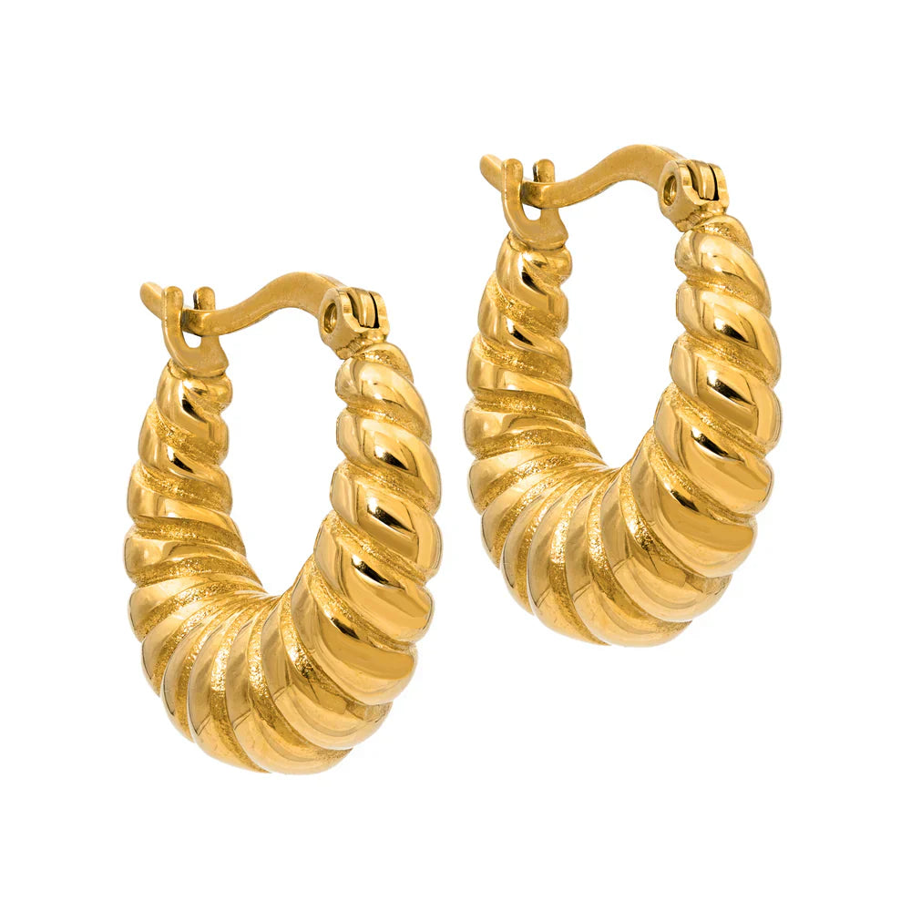 Twisted Hoops Earrings