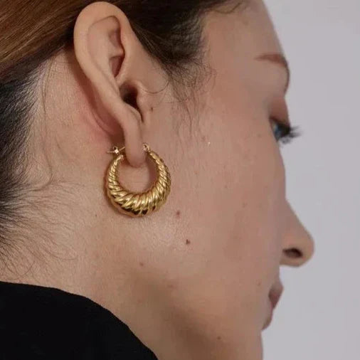 Twisted Hoops Earrings